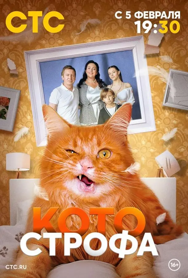 Котострофа русский сериал