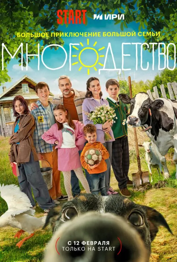 Многодетство русский сериал